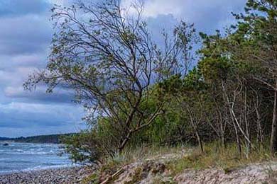 森林北住进农村老乡家亲手做拉面动作娴熟儿子首次露脸像前夫